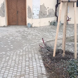 Chodn&iacute;ky Pavlovice (3)